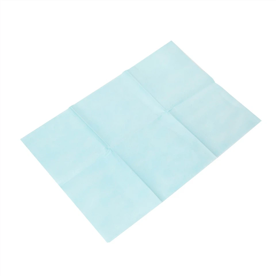Waterproof Disposable Pillow Cover